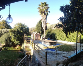 La Liguria tra gli Ulivi 2